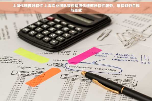 上海代理做账软件 上海专业团队提供精准代理做账软件服务，确保财务合规与高效
