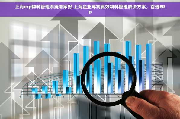 上海erp物料管理系统哪家好 上海企业寻找高效物料管理解决方案，首选ERP