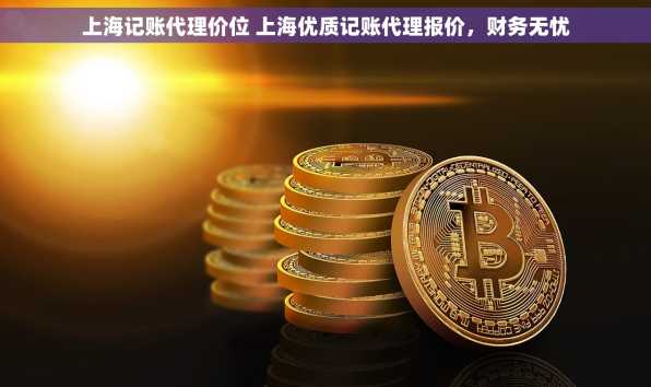上海记账代理价位 上海优质记账代理报价，财务无忧