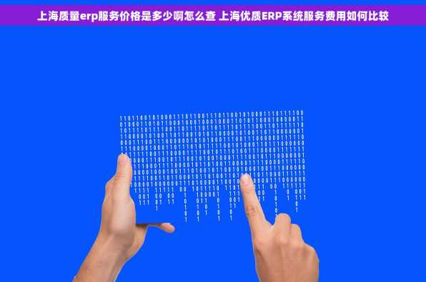 上海质量erp服务价格是多少啊怎么查 上海优质ERP系统服务费用如何比较