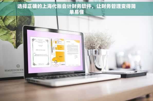 选择正确的上海代账会计财务软件，让财务管理变得简单易懂