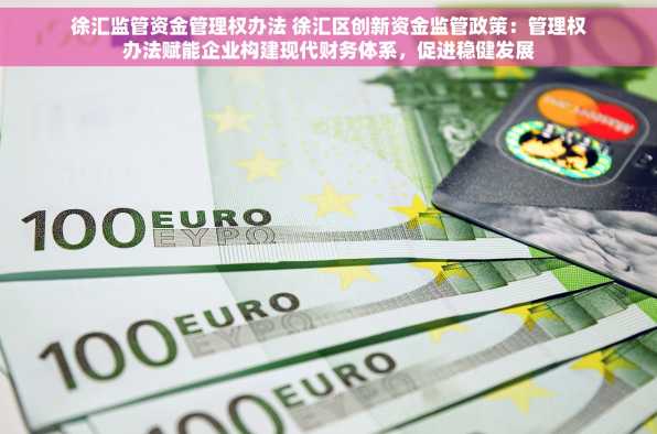 徐汇监管资金管理权办法 徐汇区创新资金监管政策：管理权办法赋能企业构建现代财务体系，促进稳健发展