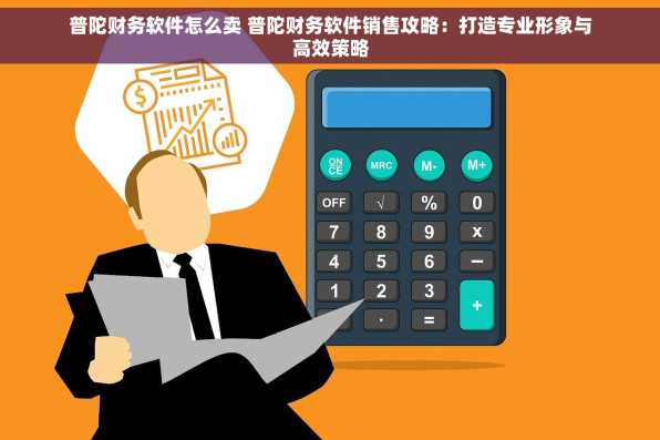 普陀财务软件怎么卖 普陀财务软件销售攻略：打造专业形象与高效策略