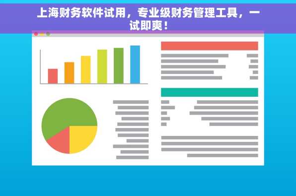上海财务软件试用，专业级财务管理工具，一试即爽！