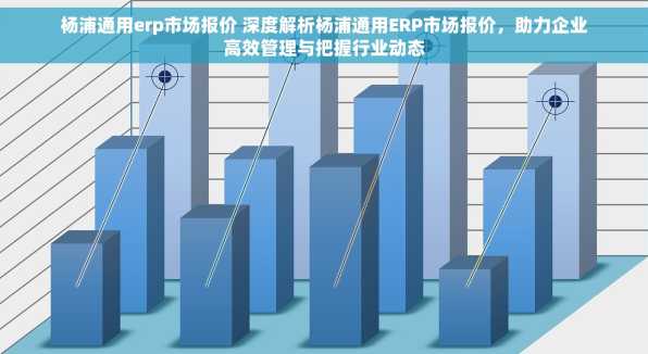 杨浦通用erp市场报价 深度解析杨浦通用ERP市场报价，助力企业高效管理与把握行业动态