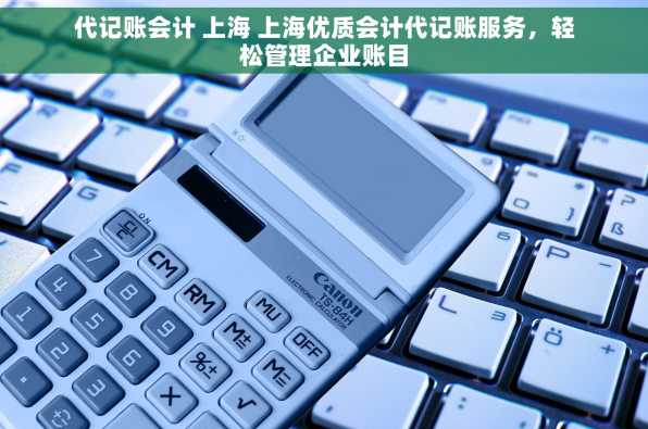 代记账会计 上海 上海优质会计代记账服务，轻松管理企业账目
