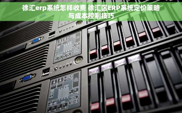 徐汇erp系统怎样收费 徐汇区ERP系统定价策略与成本控制技巧