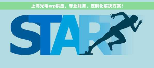 上海光电erp供应，专业服务，定制化解决方案！