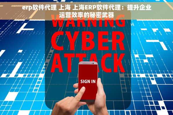 erp软件代理 上海 上海ERP软件代理：提升企业运营效率的秘密武器