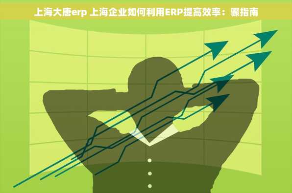上海大唐erp 上海企业如何利用ERP提高效率：骤指南