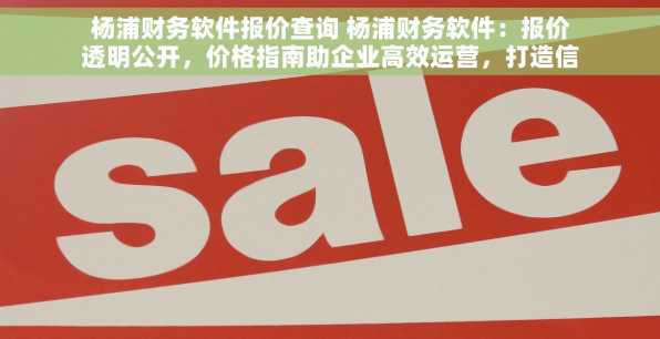 杨浦财务软件报价查询 杨浦财务软件：报价透明公开，价格指南助企业高效运营，打造信任合作环境