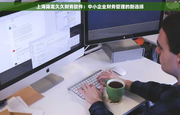 上海降龙久久财务软件：中小企业财务管理的新选择