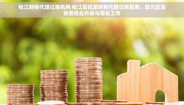 松江财税代理记账机构 松江区优质财税代理记账服务，助力企业财务优化升级与简化工作