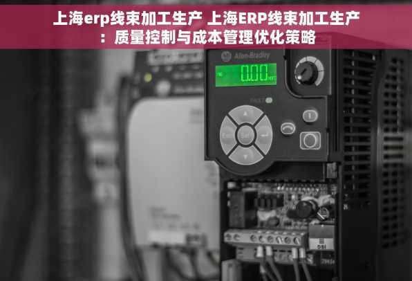上海erp线束加工生产 上海ERP线束加工生产：质量控制与成本管理优化策略