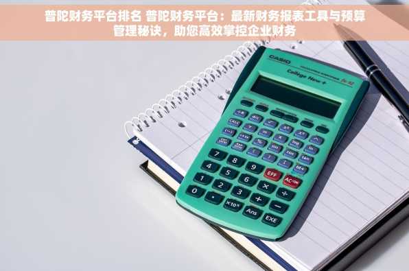 普陀财务平台排名 普陀财务平台：最新财务报表工具与预算管理秘诀，助您高效掌控企业财务