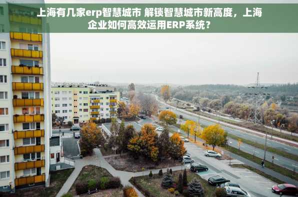 上海有几家erp智慧城市 解锁智慧城市新高度，上海企业如何高效运用ERP系统？