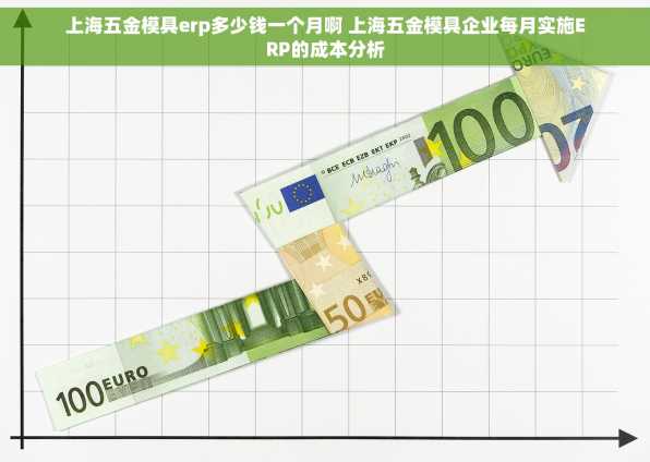 上海五金模具erp多少钱一个月啊 上海五金模具企业每月实施ERP的成本分析