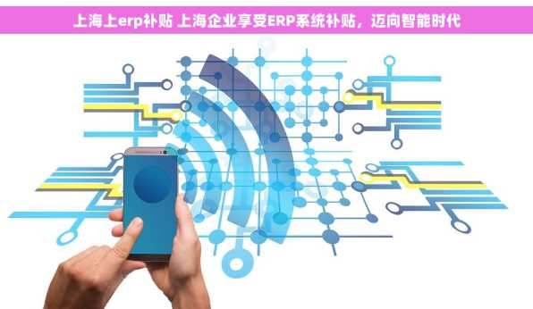上海上erp补贴 上海企业享受ERP系统补贴，迈向智能时代