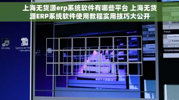 上海无货源erp系统软件有哪些平台 上海无货源ERP系统软件使用教程实用技巧大公开