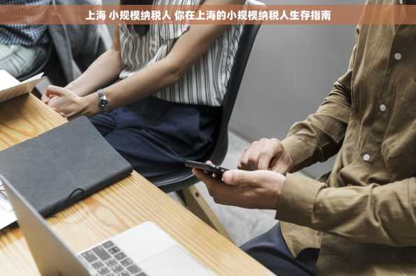 上海 小规模纳税人 你在上海的小规模纳税人生存指南