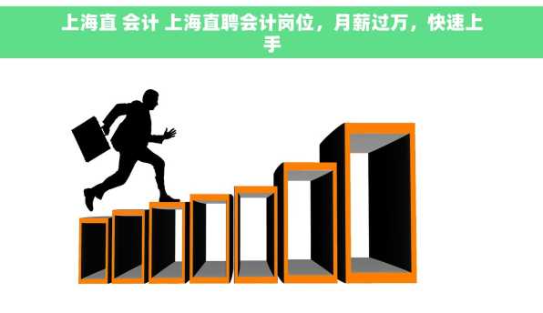上海直 会计 上海直聘会计岗位，月薪过万，快速上手