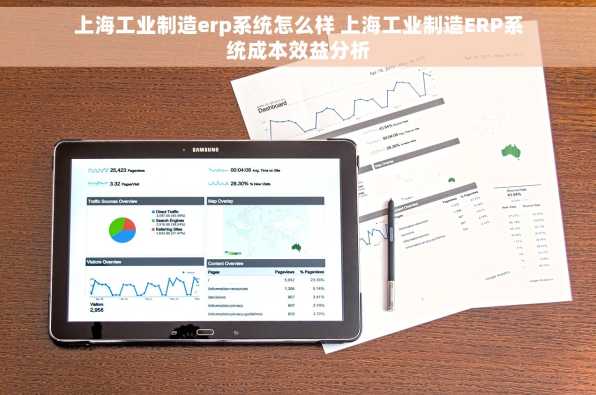 上海工业制造erp系统怎么样 上海工业制造ERP系统成本效益分析