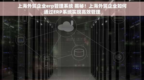 上海外贸企业erp管理系统 揭秘！上海外贸企业如何通过ERP系统实现高效管理