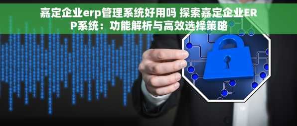 嘉定企业erp管理系统好用吗 探索嘉定企业ERP系统：功能解析与高效选择策略