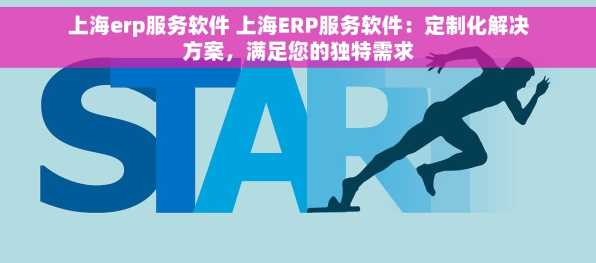 上海erp服务软件 上海ERP服务软件：定制化解决方案，满足您的独特需求