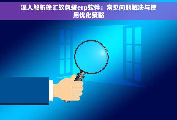 深入解析徐汇软包装erp软件：常见问题解决与使用优化策略