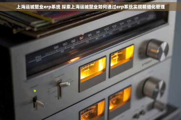 上海运城塑业erp系统 探索上海运城塑业如何通过erp系统实现精细化管理