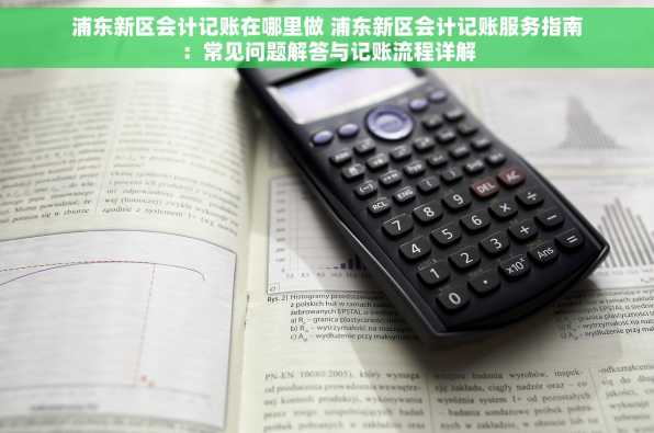 浦东新区会计记账在哪里做 浦东新区会计记账服务指南：常见问题解答与记账流程详解