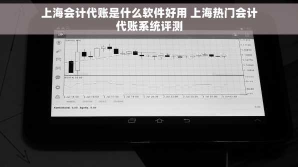 上海会计代账是什么软件好用 上海热门会计代账系统评测