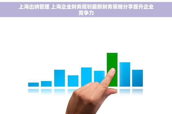 上海出纳管理 上海企业财务规划最新财务策略分享提升企业竞争力