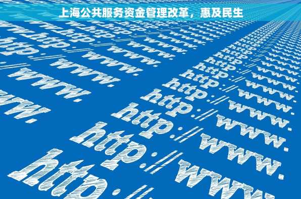 上海公共服务资金管理改革，惠及民生