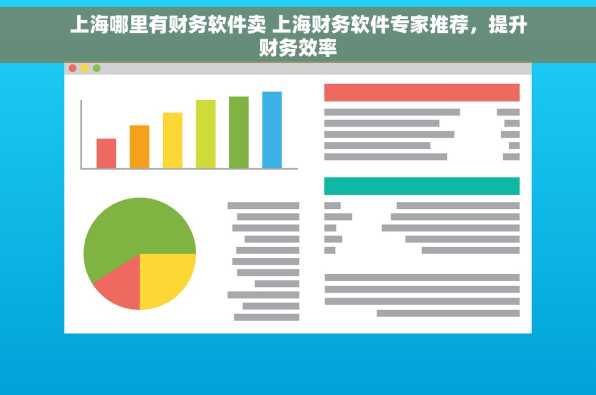 上海哪里有财务软件卖 上海财务软件专家推荐，提升财务效率