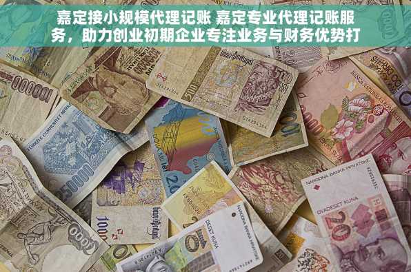 嘉定接小规模代理记账 嘉定专业代理记账服务，助力创业初期企业专注业务与财务优势打造