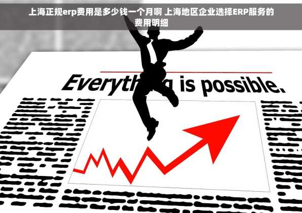 上海正规erp费用是多少钱一个月啊 上海地区企业选择ERP服务的费用明细