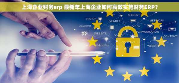 上海企业财务erp 最新年上海企业如何高效实施财务ERP？