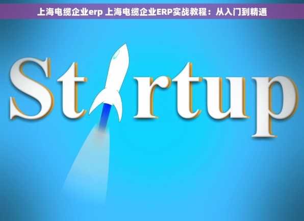 上海电缆企业erp 上海电缆企业ERP实战教程：从入门到精通