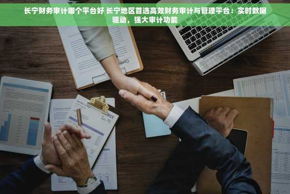 长宁财务审计哪个平台好 长宁地区首选高效财务审计与管理平台：实时数据驱动，强大审计功能