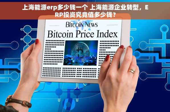 上海能源erp多少钱一个 上海能源企业转型，ERP投资究竟值多少钱？