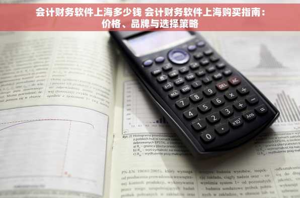 会计财务软件上海多少钱 会计财务软件上海购买指南：价格、品牌与选择策略