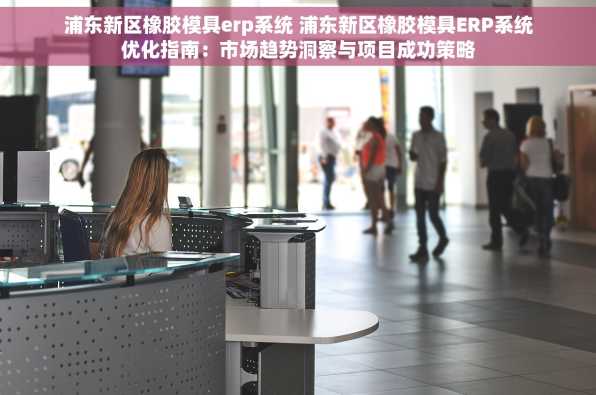浦东新区橡胶模具erp系统 浦东新区橡胶模具ERP系统优化指南：市场趋势洞察与项目成功策略