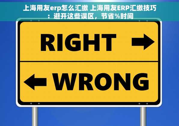 上海用友erp怎么汇缴 上海用友ERP汇缴技巧：避开这些误区，节省%时间
