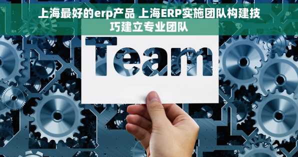 上海最好的erp产品 上海ERP实施团队构建技巧建立专业团队