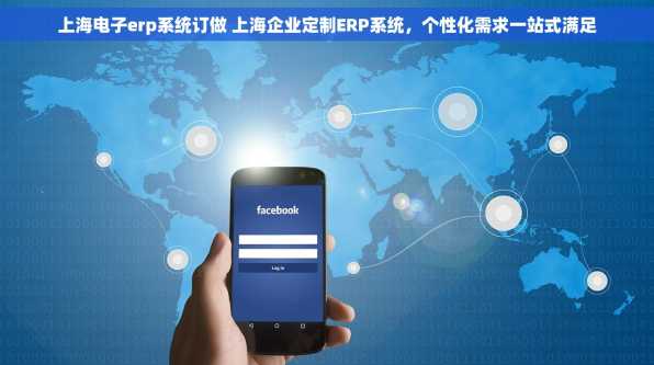 上海电子erp系统订做 上海企业定制ERP系统，个性化需求一站式满足