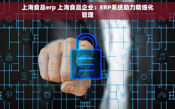 上海食品erp 上海食品企业：ERP系统助力精细化管理