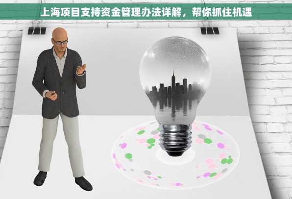 上海项目支持资金管理办法详解，帮你抓住机遇
