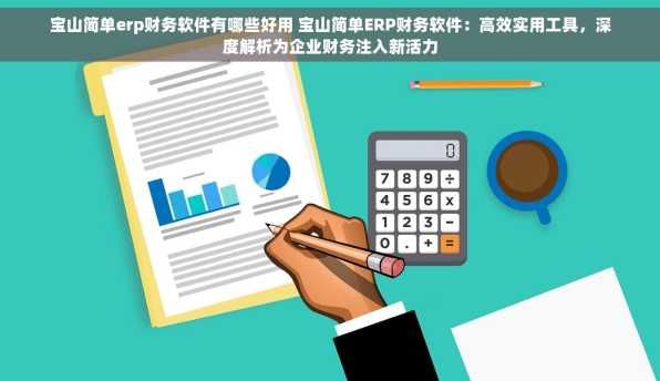 宝山简单erp财务软件有哪些好用 宝山简单ERP财务软件：高效实用工具，深度解析为企业财务注入新活力